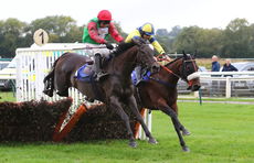 Racing Tv Novices' Hurdle