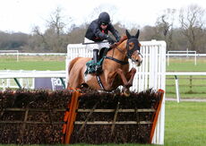 Racing TV Juvenile Hurdle