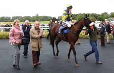 Racing Tv Novices' Hurdle