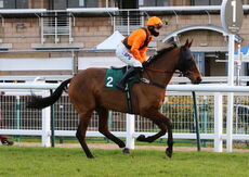 South West Syndicate Nov H'cap Chase.