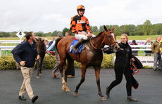Weatherbys Novices' H'cap Chase