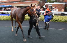 Weatherbys Novices' H'cap Chase