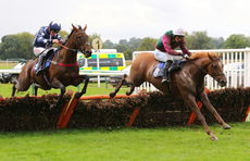 Racing TV Mares' Handicap Hurdle.