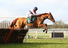 Racing TV Mares' 'NH' Nov Hurdle
