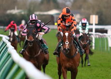 British Stallion Studs EBF Mares' Standard Open NH Flat race.