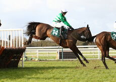 Racing TV Mares' 'NH' Nov Hurdle
