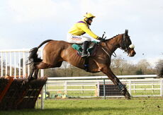Racing TV Mares' 'NH' Nov Hurdle