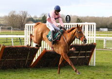 Racing TV Mares' 'NH' Nov Hurdle