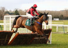 Racing TV Mares' 'NH' Nov Hurdle