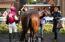 Weatherbys Novices' H'cap Chase