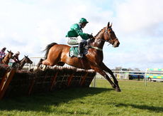 Dreamland Bedding Centre Nov Hurdle