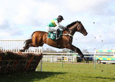 Dreamland Bedding Centre Nov Hurdle