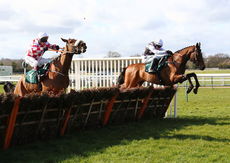 Dreamland Bedding Centre Nov Hurdle