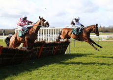 Dreamland Bedding Centre Nov Hurdle