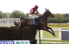 Hook Norton Brewery Conditional Jockeys' H'cap Chase.