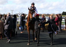 Dreamland Bedding Centre Nov Hurdle
