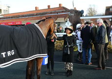 Dreamland Bedding Centre Nov Hurdle