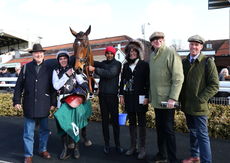 Dreamland Bedding Centre Nov Hurdle