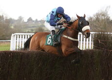 Ecossais (Ross Turner)