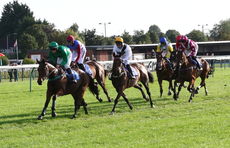 Racing TV NH Flat Race
