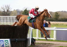 EBF Mares' Novices' Chase