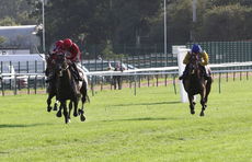Racing TV NH Flat Race