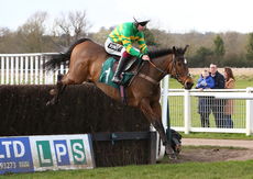 EBF Mares' Novices' Chase