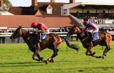 Racing TV NH Flat Race