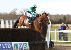 EBF Mares' Novices' Chase