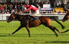Redford Road (Sam Twiston-Davies)