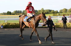 Racing TV NH Flat Race