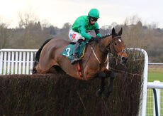 Lady Protectress Mares' Chase.