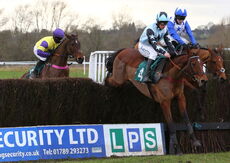 Lady Protectress Mares' Chase.