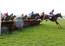 Elizabeth Jackson Handicap Hurdle