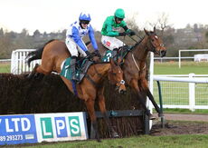 Lady Protectress Mares' Chase.