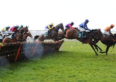 Elizabeth Jackson Handicap Hurdle