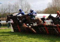 Elizabeth Jackson Handicap Hurdle