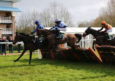 Elizabeth Jackson Handicap Hurdle