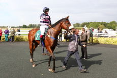 Racing Tv NH Novices' Hurdle