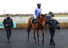 Lady Protectress Mares' Chase.