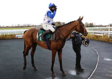 Annie Mc (Jonjo O'Neill)