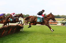 Agetur UK Maiden Hurdle