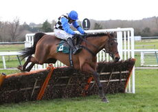 Supremely Lucky (Harry Skelton)