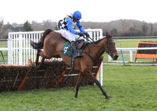 Supremely Lucky (Harry Skelton)