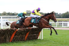 Ignite Incentives Handicap Hurdle.