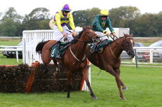 Ignite Incentives Handicap Hurdle.