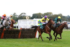 Ignite Incentives Handicap Hurdle.