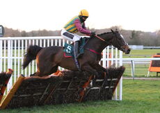 Miss Heritage (Bryony Frost)