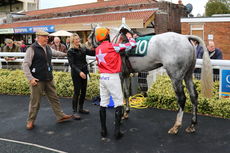 Ignite Incentives Handicap Hurdle.