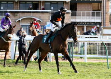 Warwick 15 February 2021